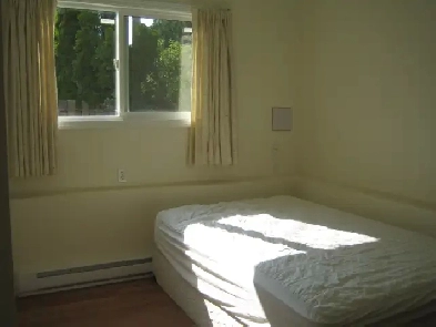 A room close to UVIC for rent