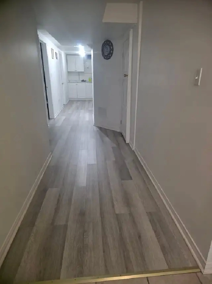 Walkout Basement Room for rent looking for a brown female