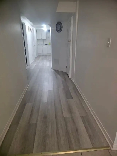 Walkout Basement Room for rent looking for a brown female