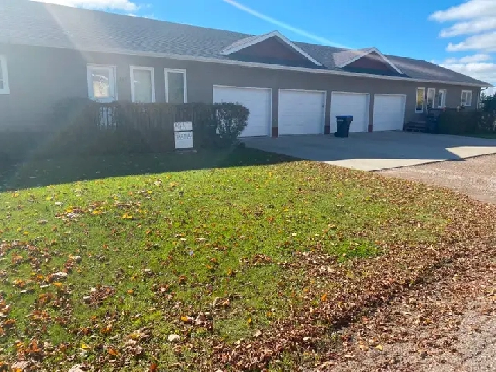 Two Bedroom Apartment for rent in Souris, Mb $1500.00/month