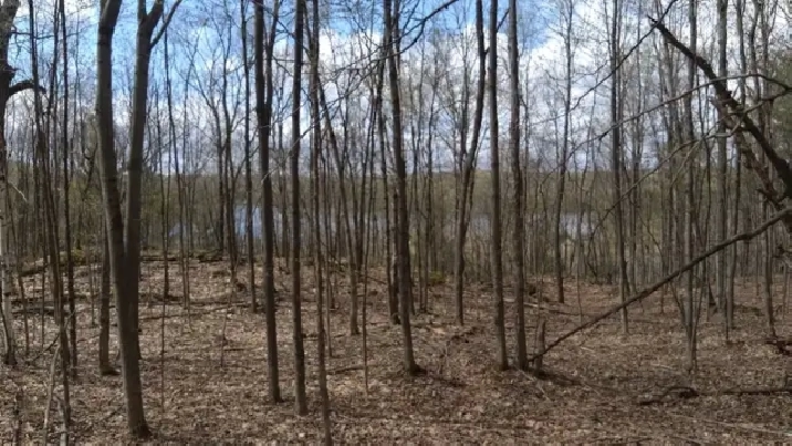 4.95 acres for sale - Gatineau Hills 25 min from Ottawa