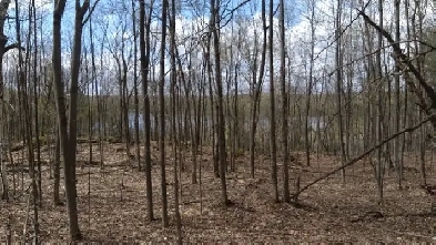 4.95 acres for sale - Gatineau Hills 25 min from Ottawa