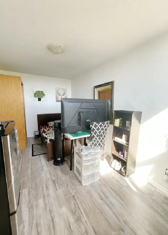 Cozy Room for Rent