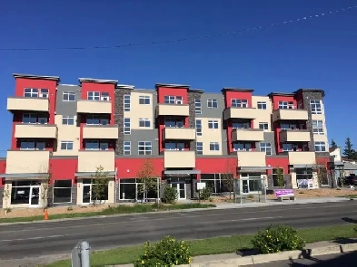 Centrally Located 2 BR 2 Bath Condo Close to Downtown