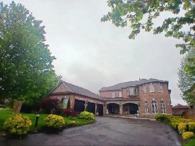 2 Bedroom Walkout Apartment