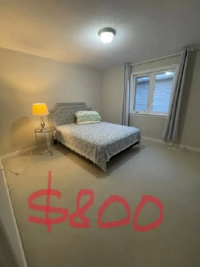 Two rooms for rent