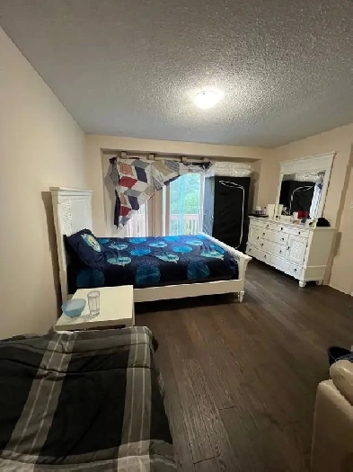 WOW Beautiful Townhouse Basement Available For Rent in Brampton!