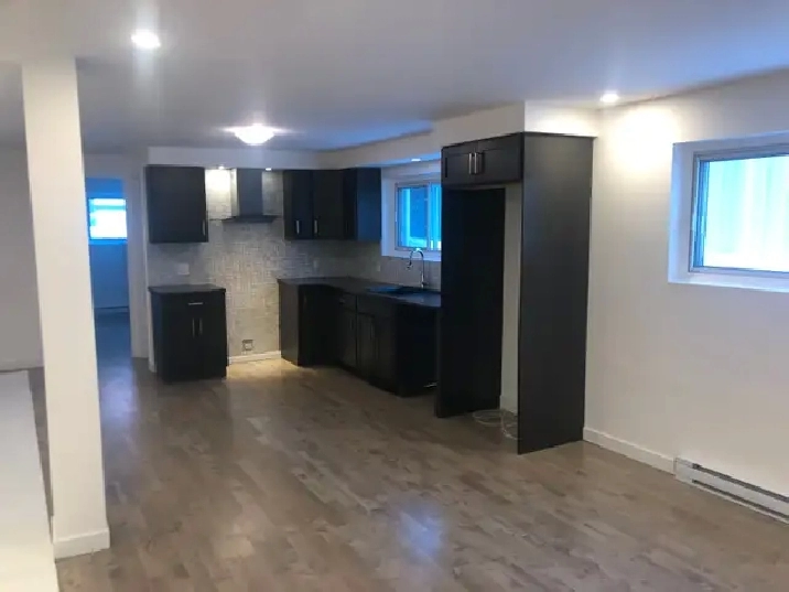 Renovated One Bedroom Apartment