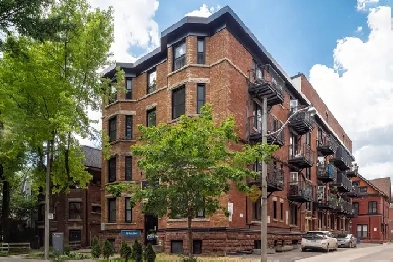 renovated one bedroom, College and Spadina - ID 4771