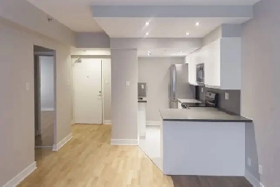 renovated one bedroom apartment near McGill - ID 1084