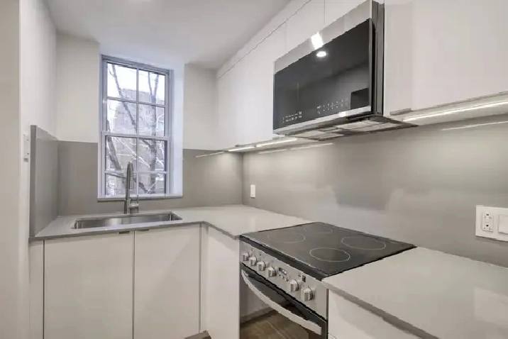 Renovated Studio near McGill - ID 3168