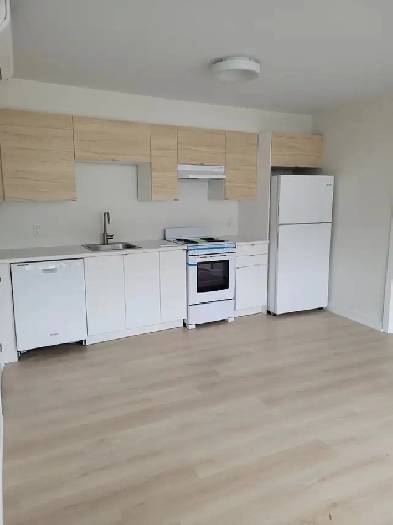 2 Bedroom Apt in Tottenham for Rent Dec 1st