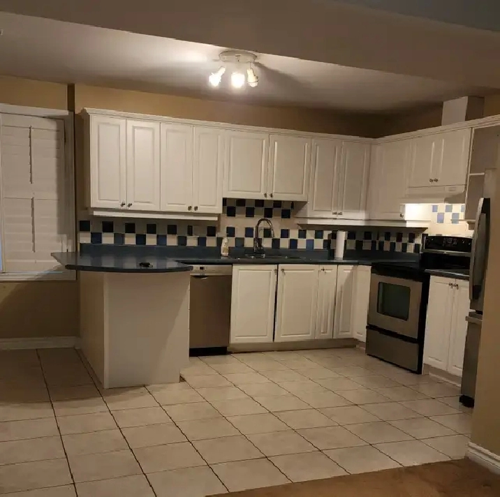 Spacious 2BR Walkout Basement Apartment Prime Location Newmarket