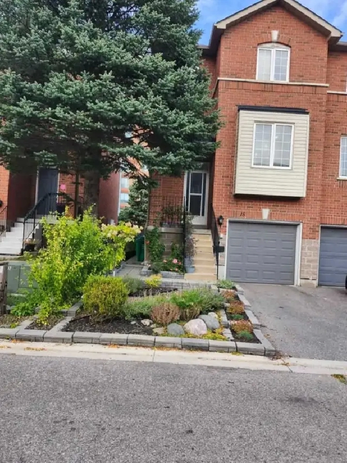 House for Rent