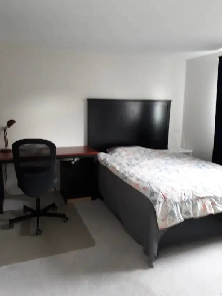 Furnished Room for Rent – Near Blair O-Train Station