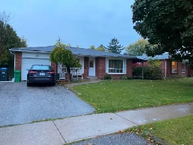 House for rent