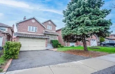1 1 Bedroom Basement In Scarborough