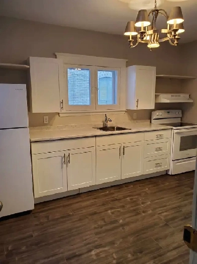 2BDR   DEN HOUSE FOR RENT