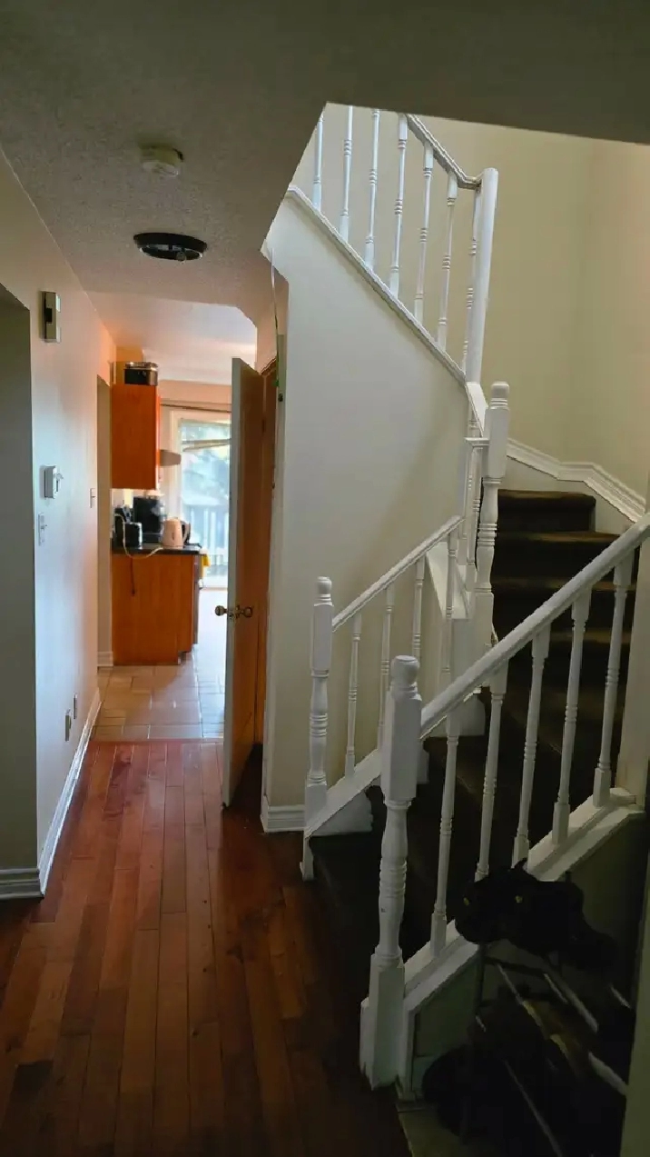 2 rooms for rent in southkeys