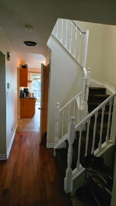 2 rooms for rent in southkeys