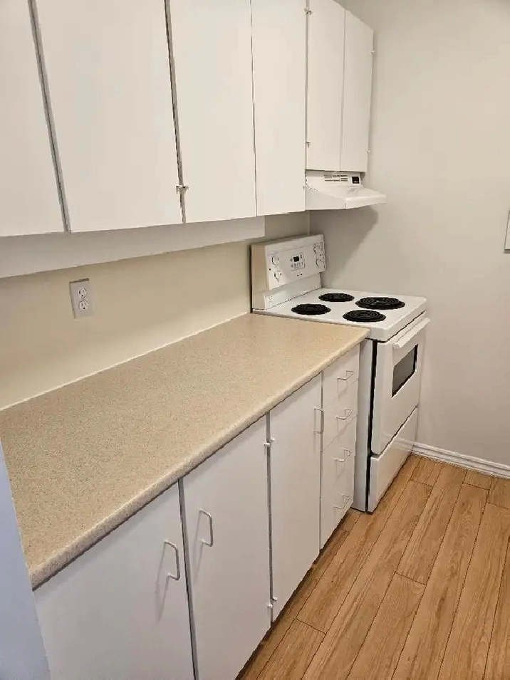 Cooperative Living, Where Everyone Belongs