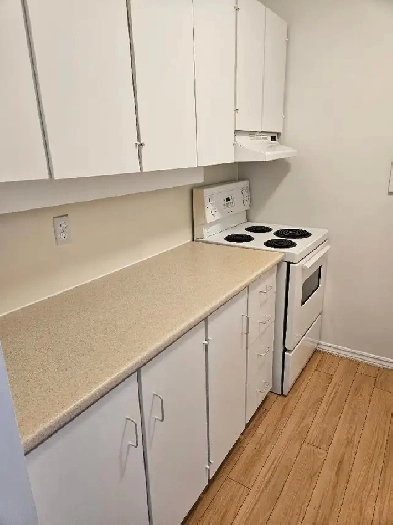 Cooperative Living, Where Everyone Belongs