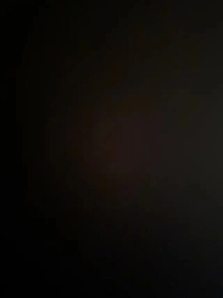 brand new 1 bedroom basement for rent