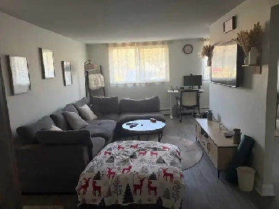 1 Bedroom Apartment in Fergus