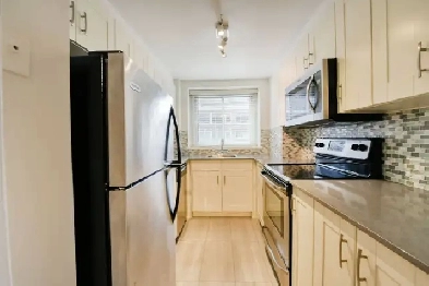 two bed two bath apartment downtown near McGill - ID 3067