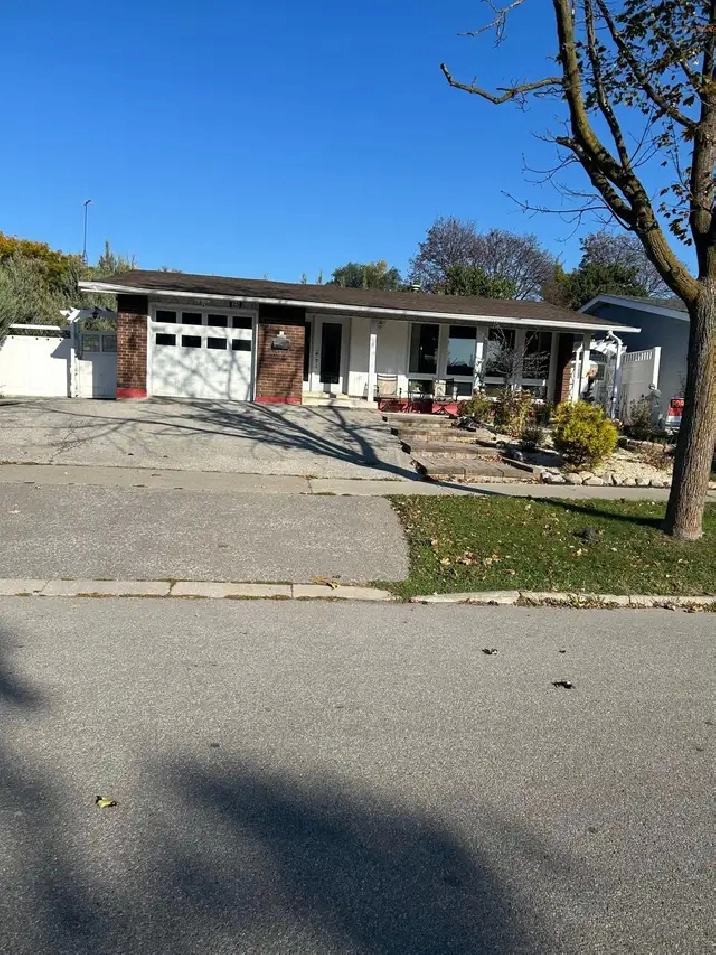 2 BR BASEMENT APARTMENT IN ETOBICOKE FOR RENT