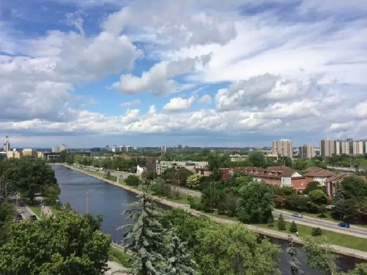 1 Bedroom - January - Rideau Canal Facing - Golden Triangle