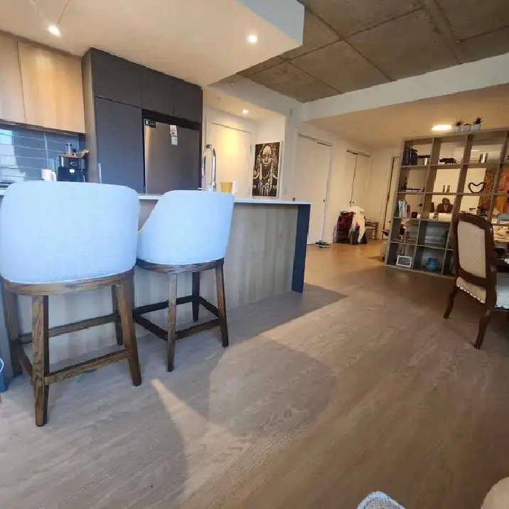 Studio-Loft Griffintown Montréal Canal Lachine