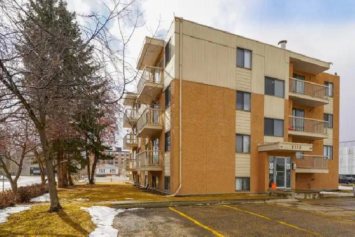 SMALL PETS OK! 1 bed apartment centrally located by RD Hospital!
