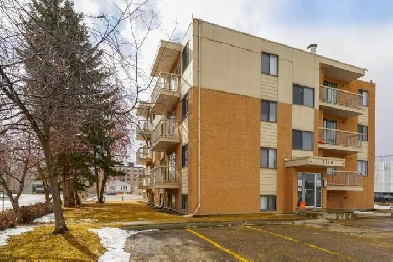 SMALL PETS OK! 1 bed apartment centrally located by RD Hospital!