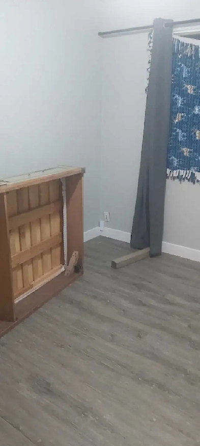looking for a roommate
