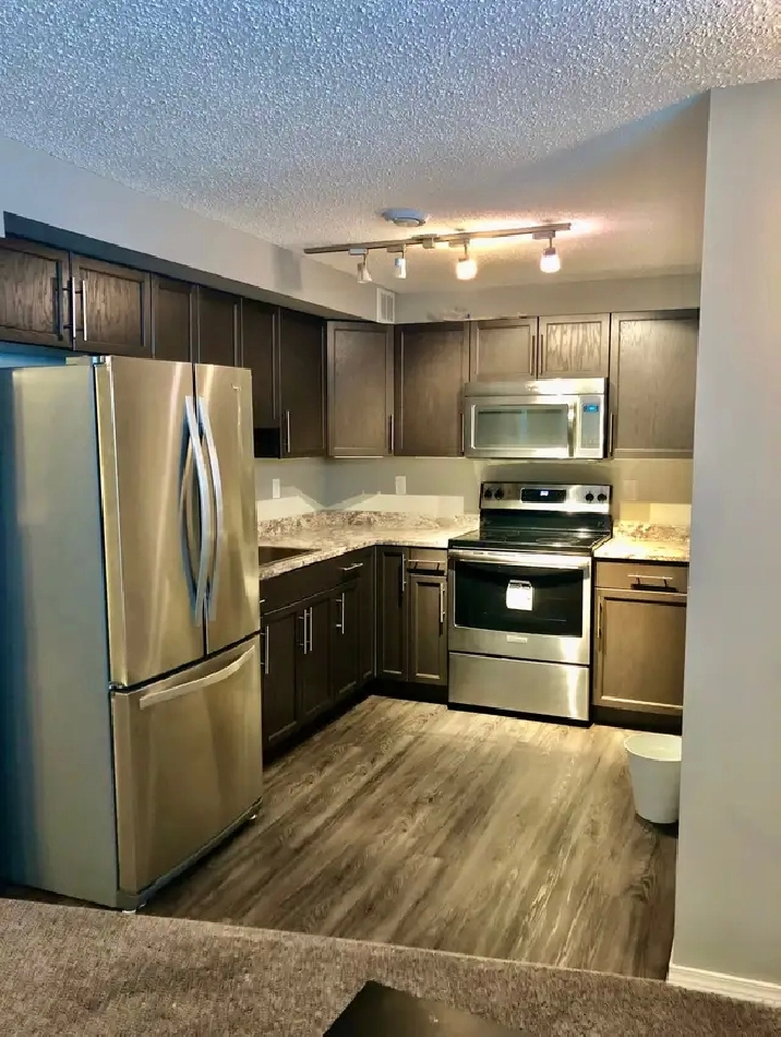 1 Bedroom 1 Bathroom Basement   Den