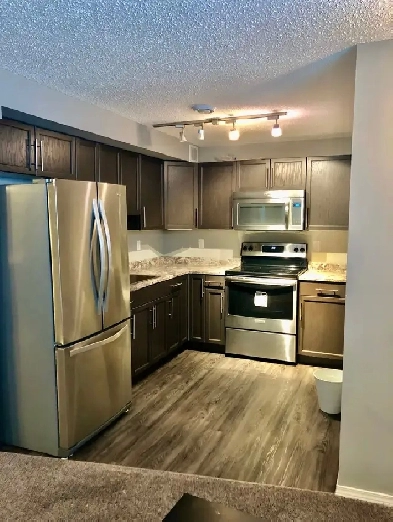 1 Bedroom 1 Bathroom Basement   Den