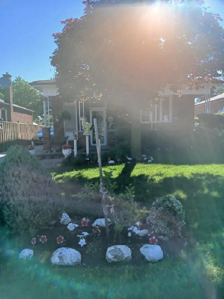 $1100 All inclusive basement apartment