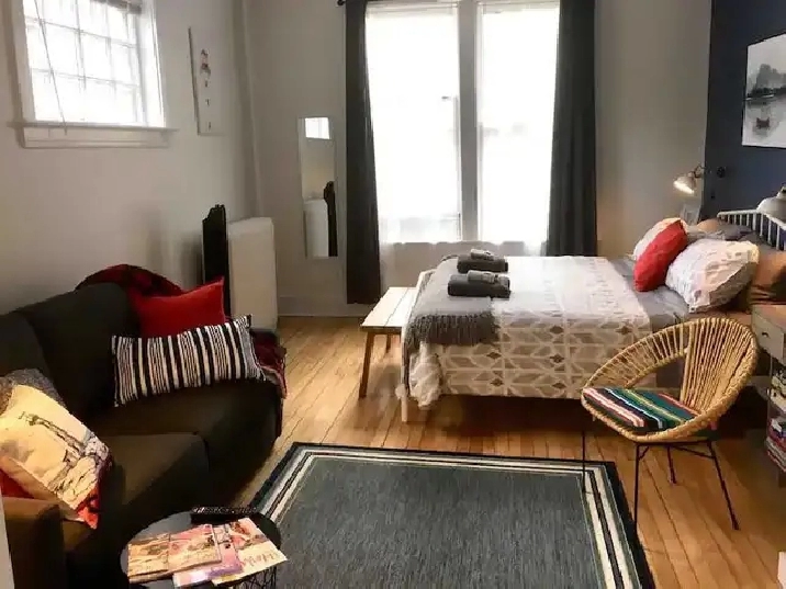 Gorgeous furnished open-studio apartment by Dal