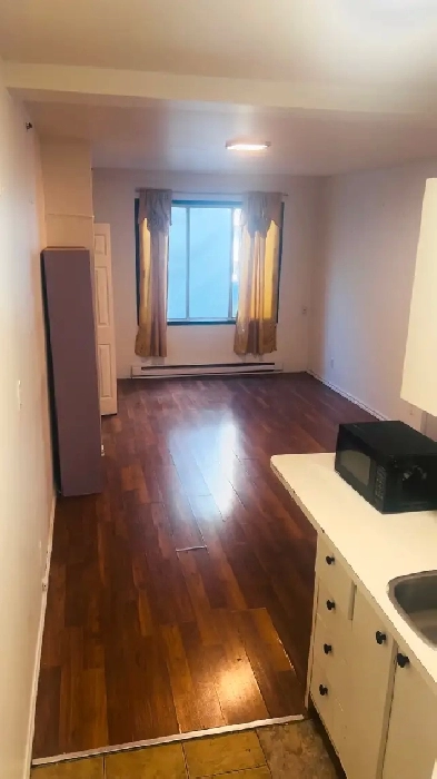 Spacious and bright studio downtown Montreal!