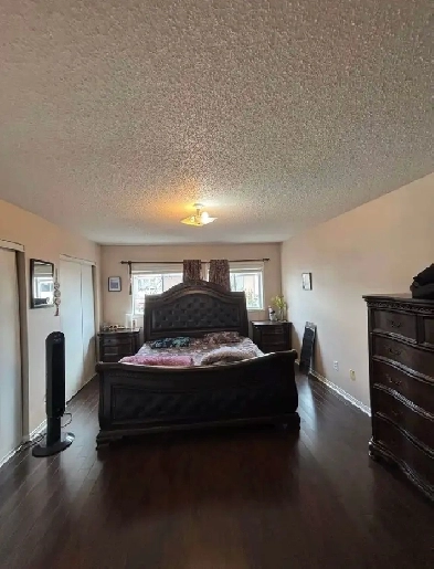 Room for rent in Brampton