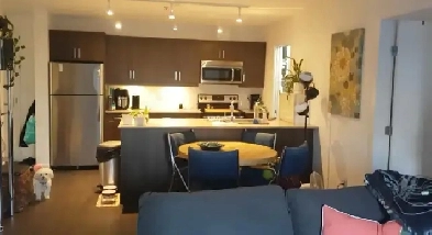 Modern 2 Bed, 2 Bath Apartment Lease Assignment in Island Lakes