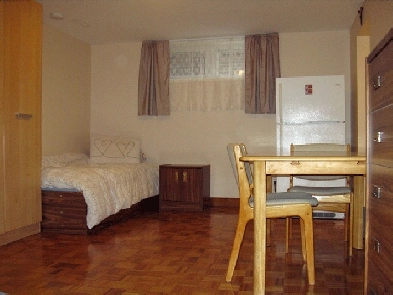Bright, spacious, basement apartment