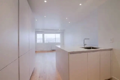 Renovated Studio apartment near McGill - ID 3742