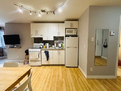 Loft studio entièrement meublé à louer Vieux-Québec avril 2027
