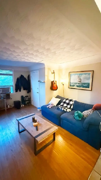 Dundas 1 bd rm   den in quiet building close to shops & Mcmaster