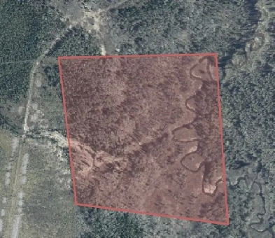 36AC Northern Ontario Waterfront on Creek! Bordering Crown Land!