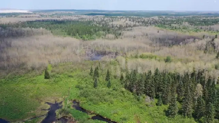 27 Acre Waterfront Land in Northern Ontario Near Timmins!