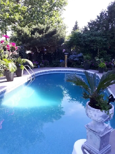 Quiet private x clean room in executive home  traf /upper middle