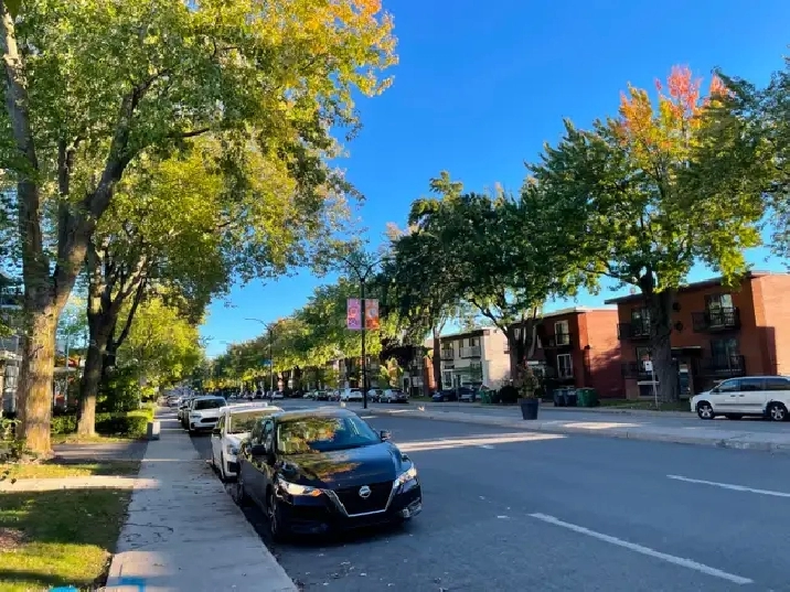 4 1/2 rénové - Montreal-Nord , secteur recherche, dispo. 1 nov.